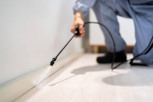 Licensed Mosquito Control service in Porter, IN - Show Me Pest Control