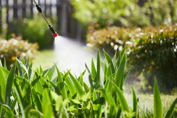 24/7 Emergency Mosquito Control experts in Porter, IN