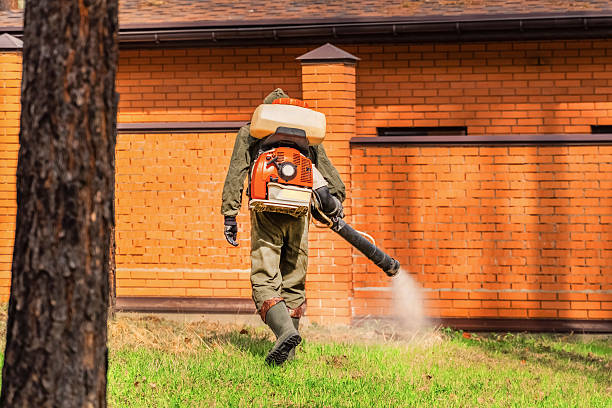 Top rated local Mosquito Control specialists in Porter, IN